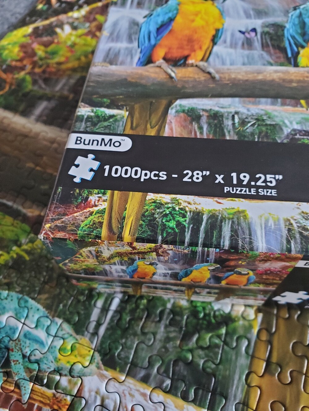 Parrot Puzzle - Picture 2 of 3